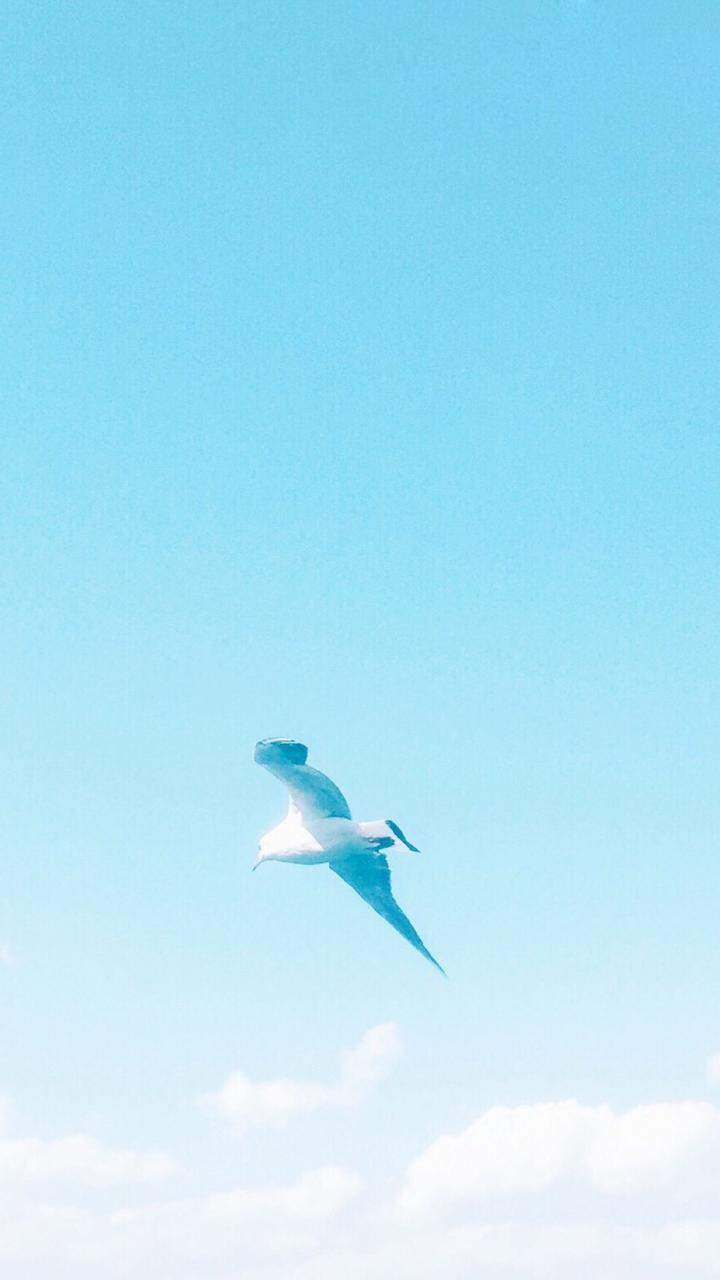 美术生手机壁纸