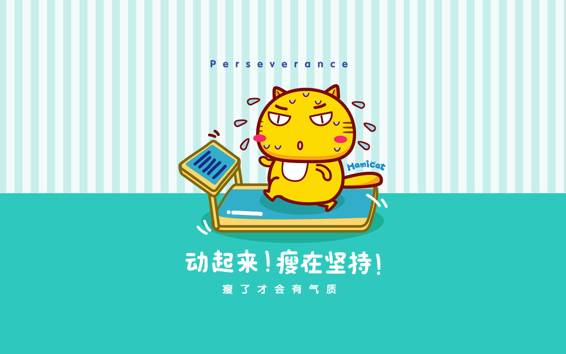 哈咪猫减肥励志电脑壁纸-pchome桌面壁纸图片