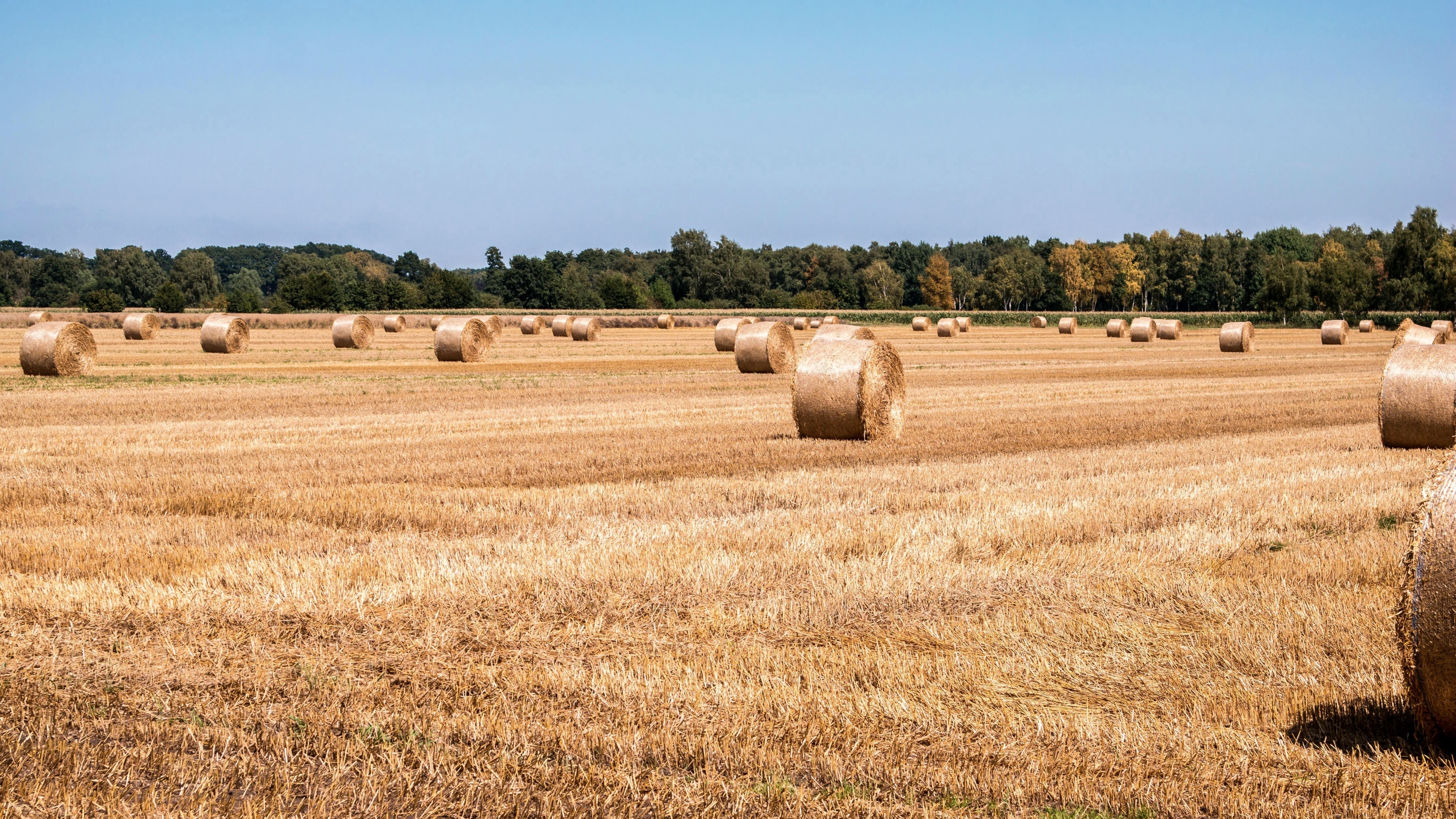 4k高清壁纸桌面护眼
